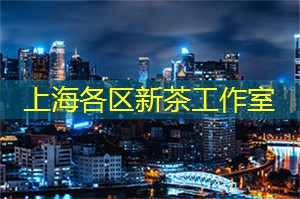 上海按摩哪家好玩一点儿的地方推荐一下
